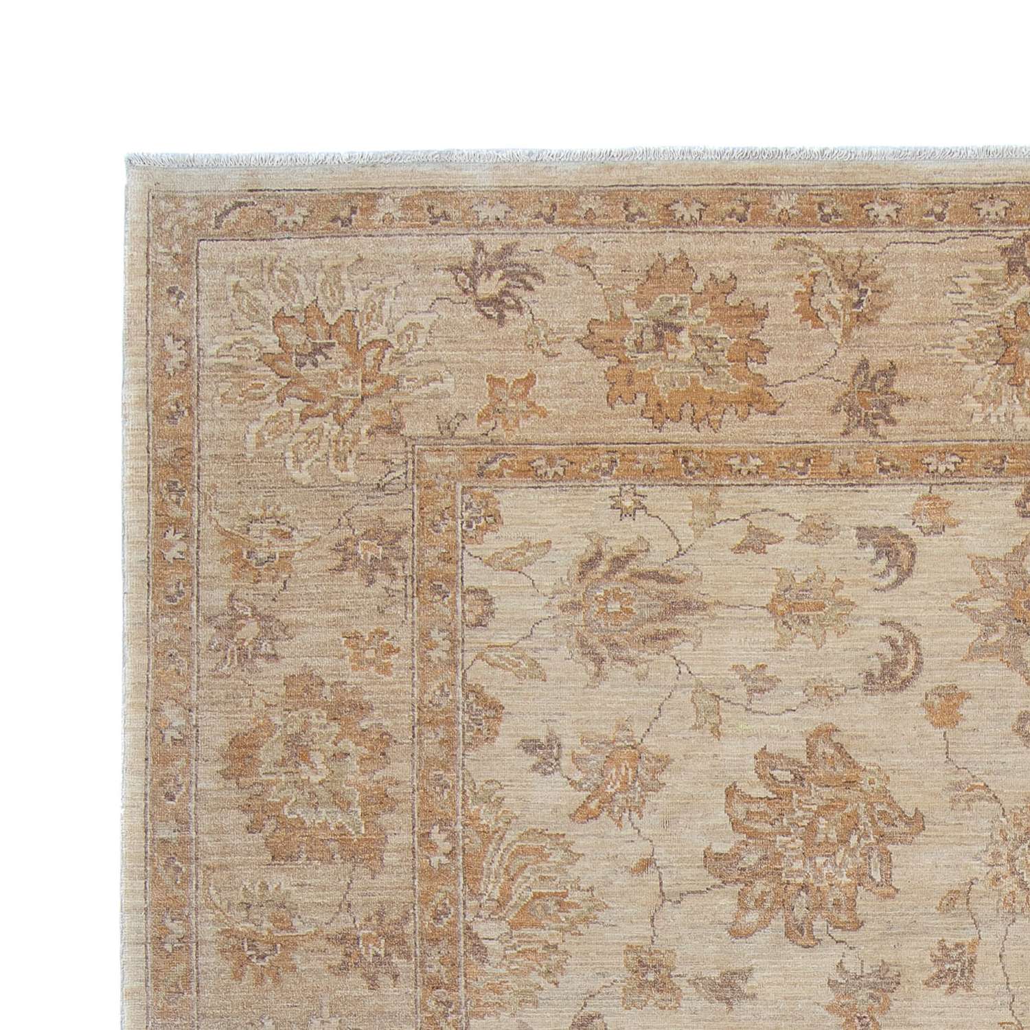 Zieglerův koberec - 337 x 249 cm - světle béžová