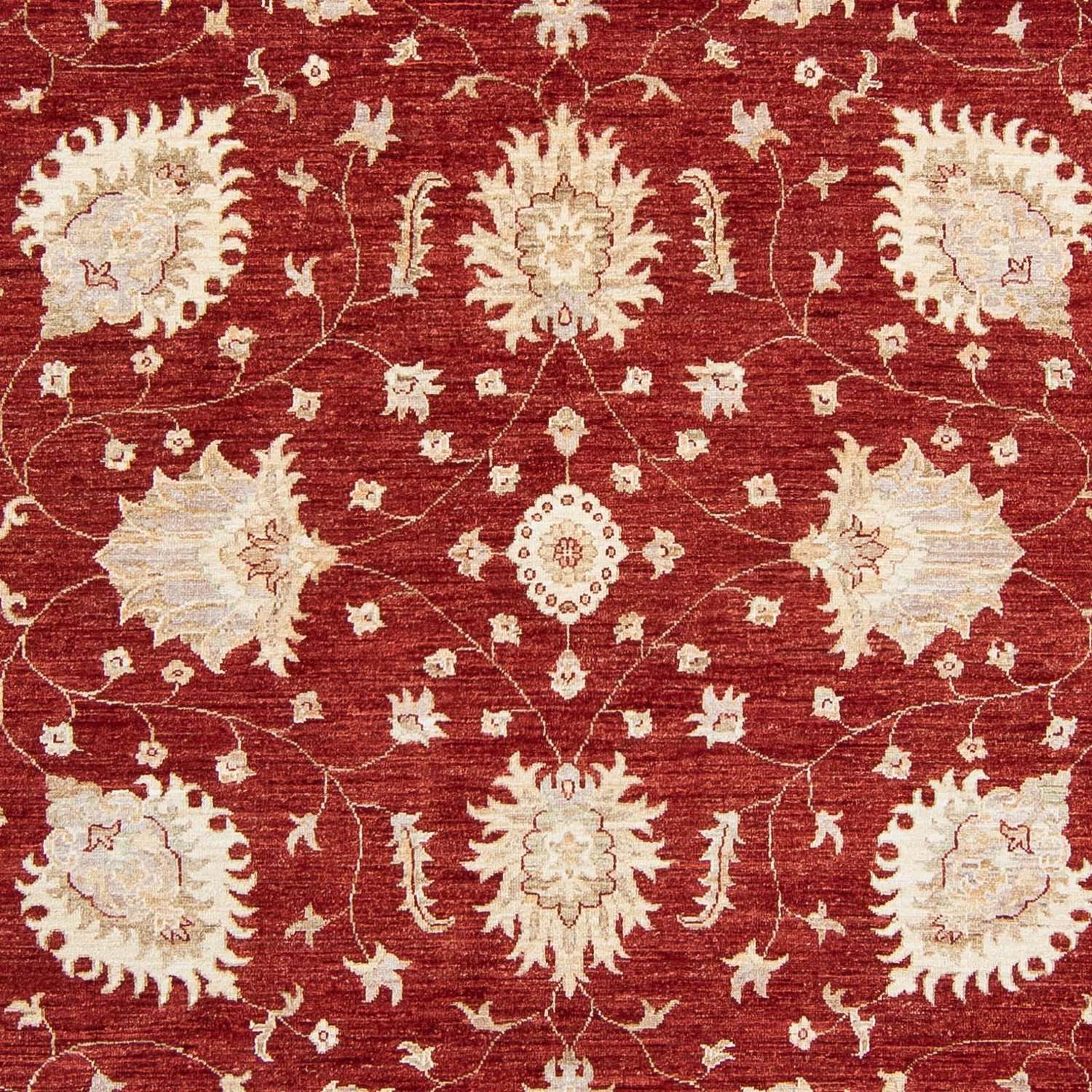 Zieglerův koberec - 298 x 240 cm - tmavě červená