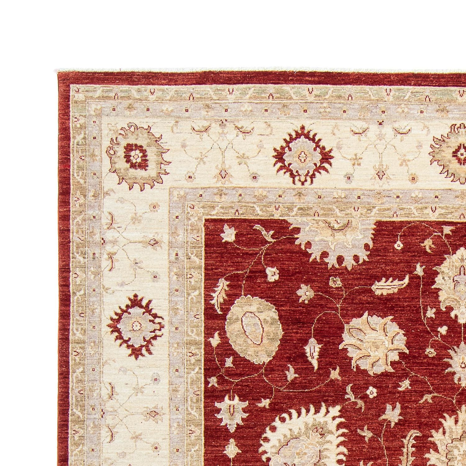 Ziegler Rug - 298 x 240 cm - dark red