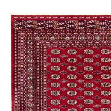 Tapis afghan - Boukhara - 303 x 253 cm - rouge