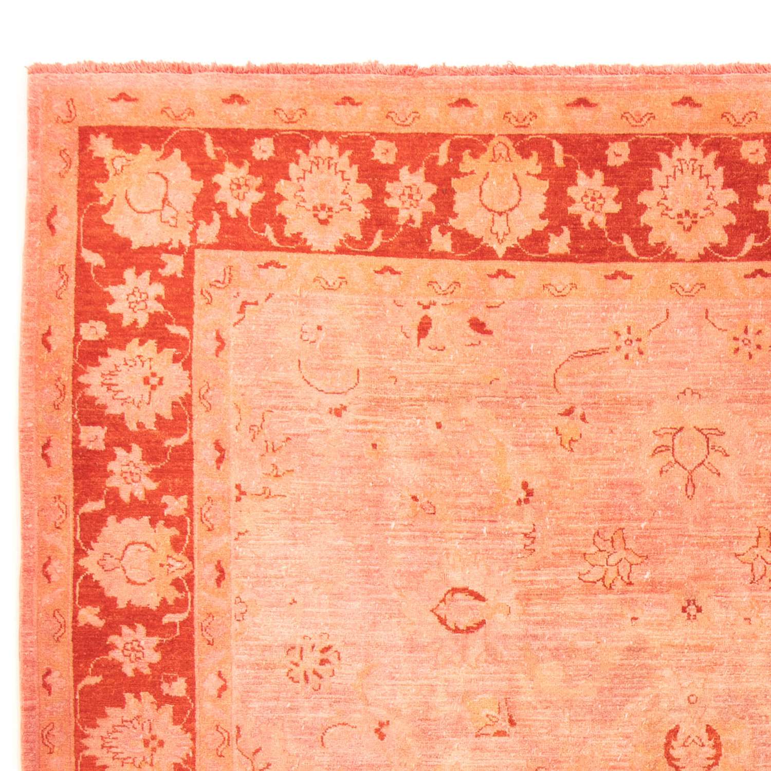 Ziegler Carpet - 300 x 242 cm - lysrød