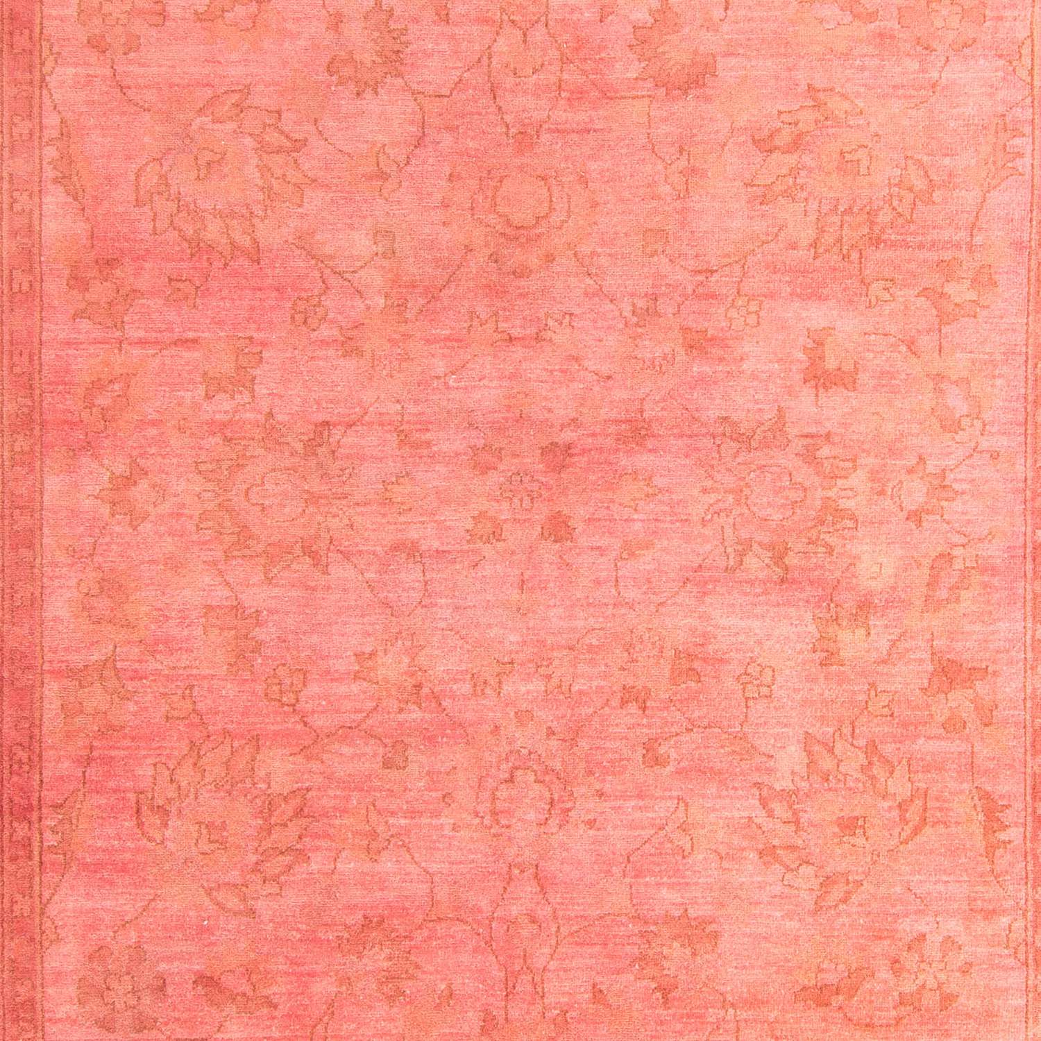 Ziegler Rug - 305 x 204 cm - rose