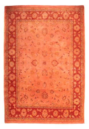 Ziegler Rug - 390 x 260 cm - rust