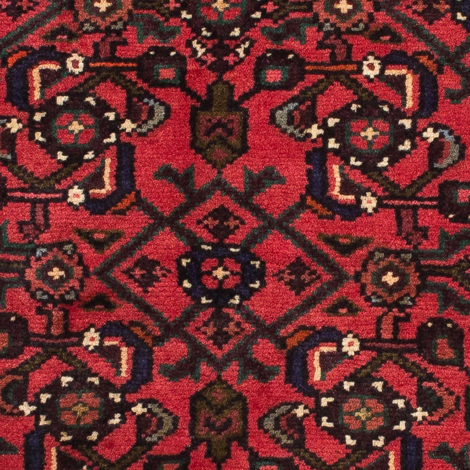 Alfombra de pasillo Alfombra persa - Nómada - 200 x 70 cm - rojo oscuro