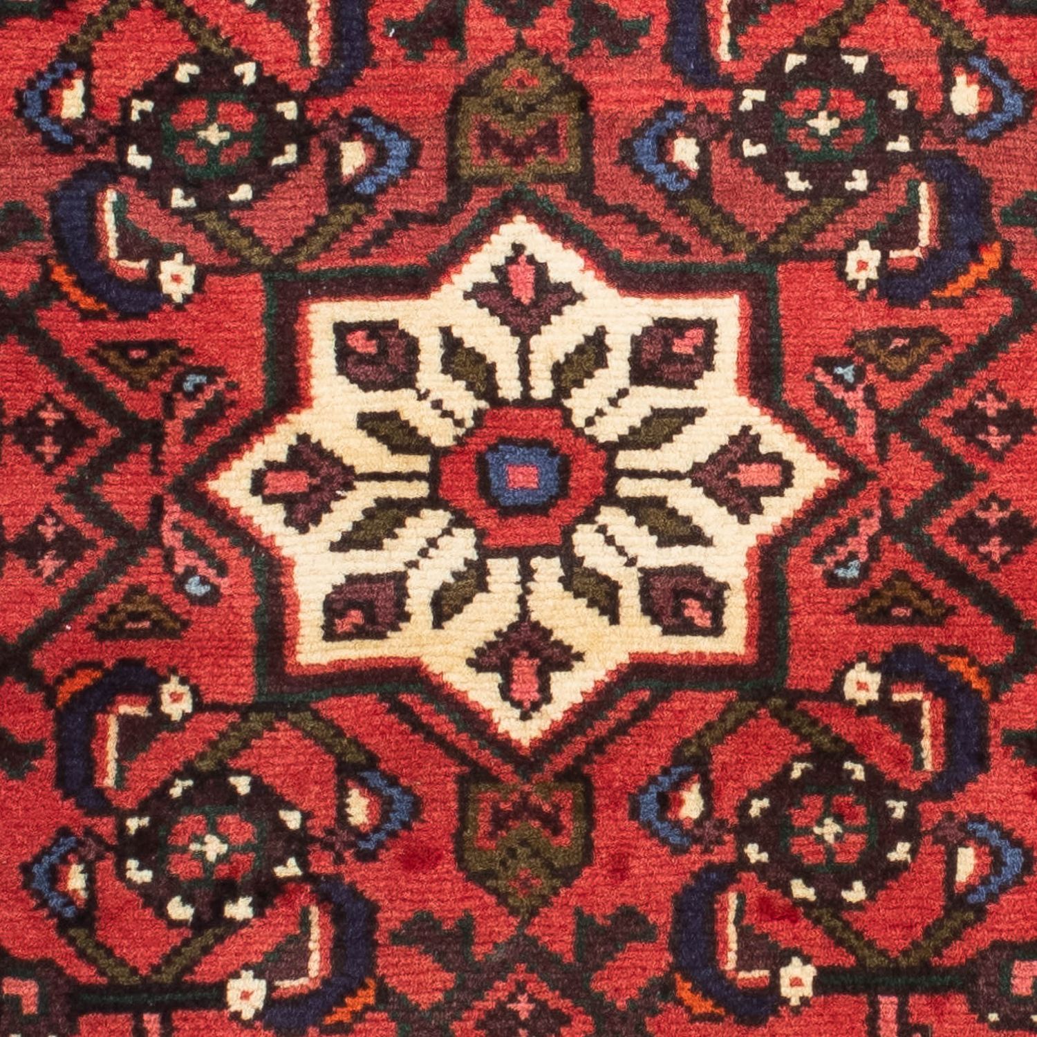 Alfombra de pasillo Alfombra persa - Nómada - 182 x 72 cm - rojo oscuro