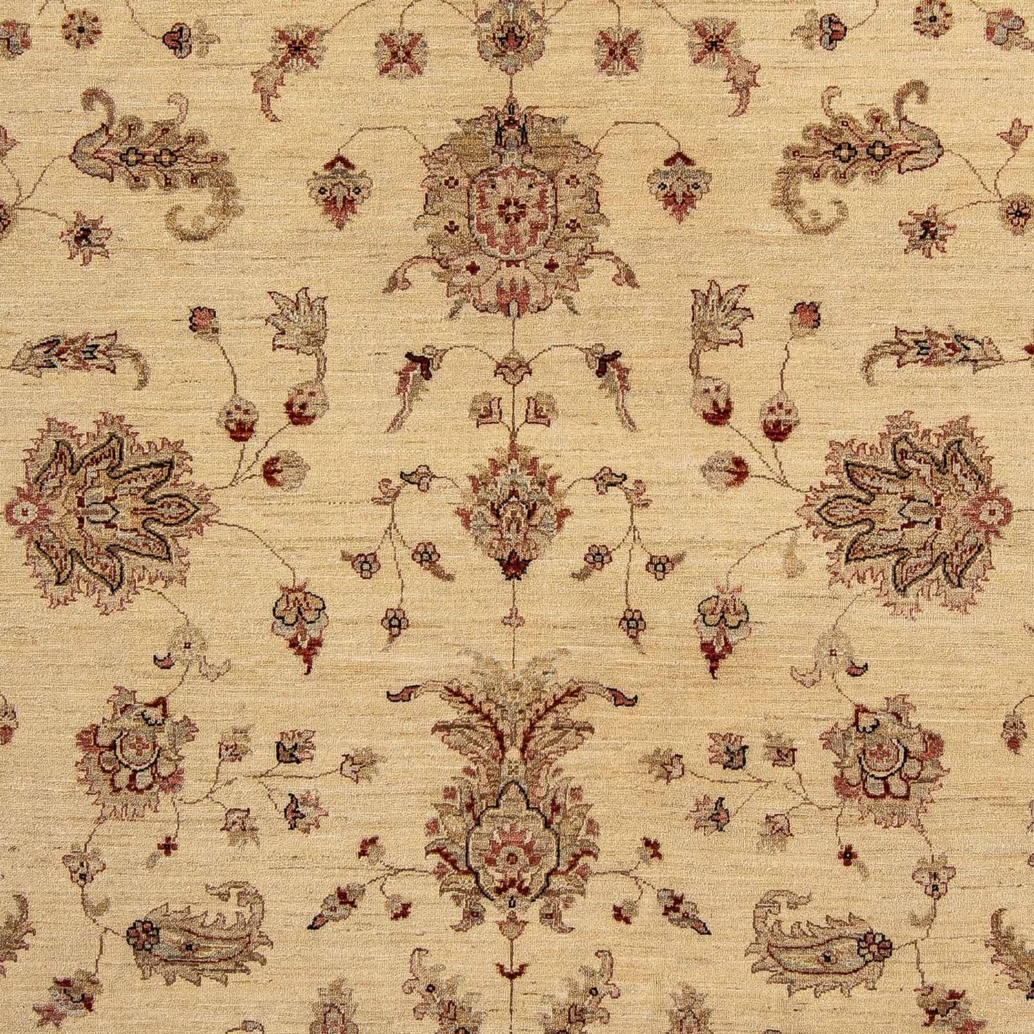 Alfombra Ziegler - 287 x 246 cm - beige