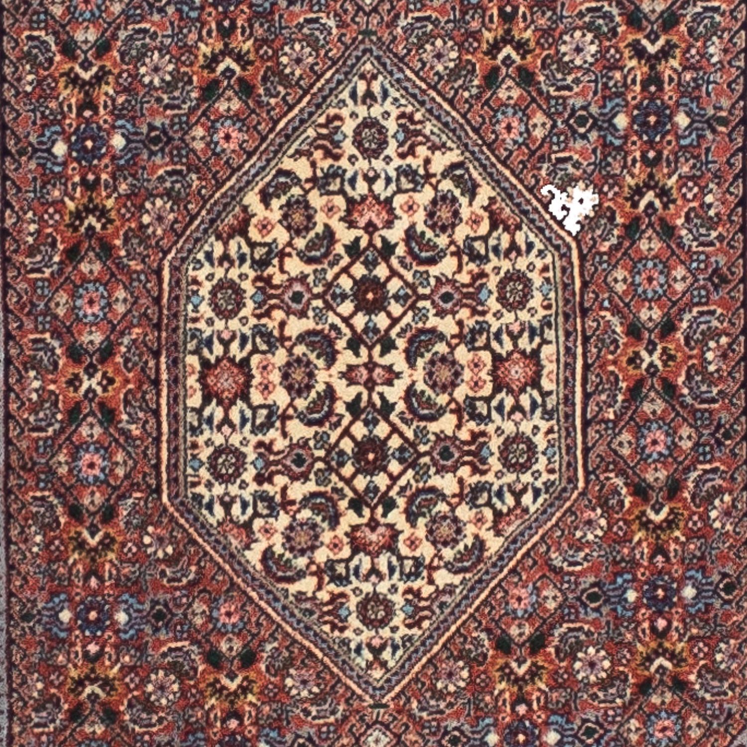 Tapis de couloir Tapis persan - Bidjar - 287 x 70 cm - multicolore