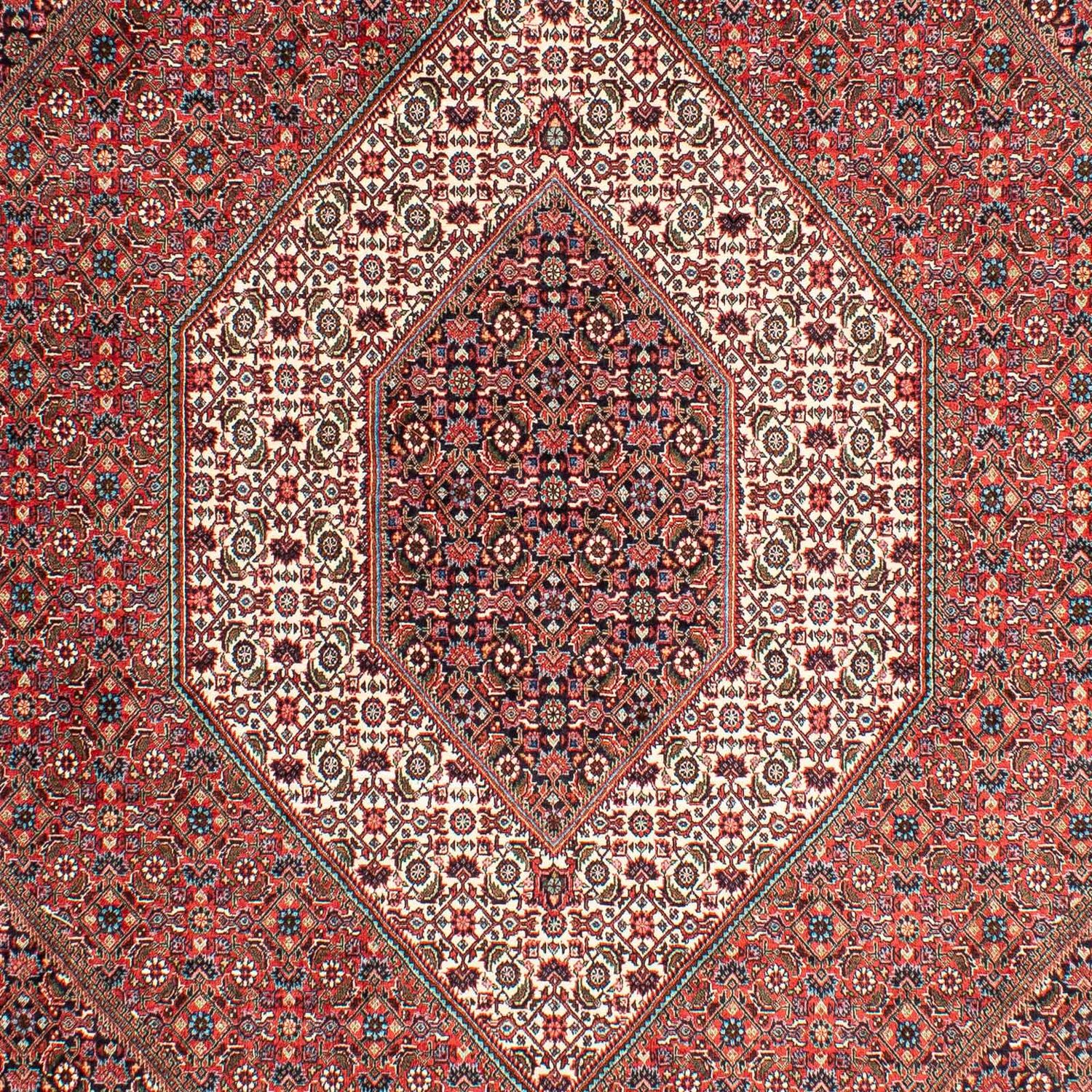 Tappeto Persero - Bidjar - 288 x 207 cm - rosso chiaro