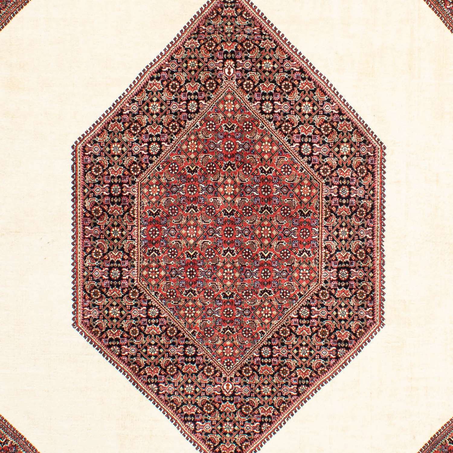 Persisk teppe - Bijar - 300 x 200 cm - beige