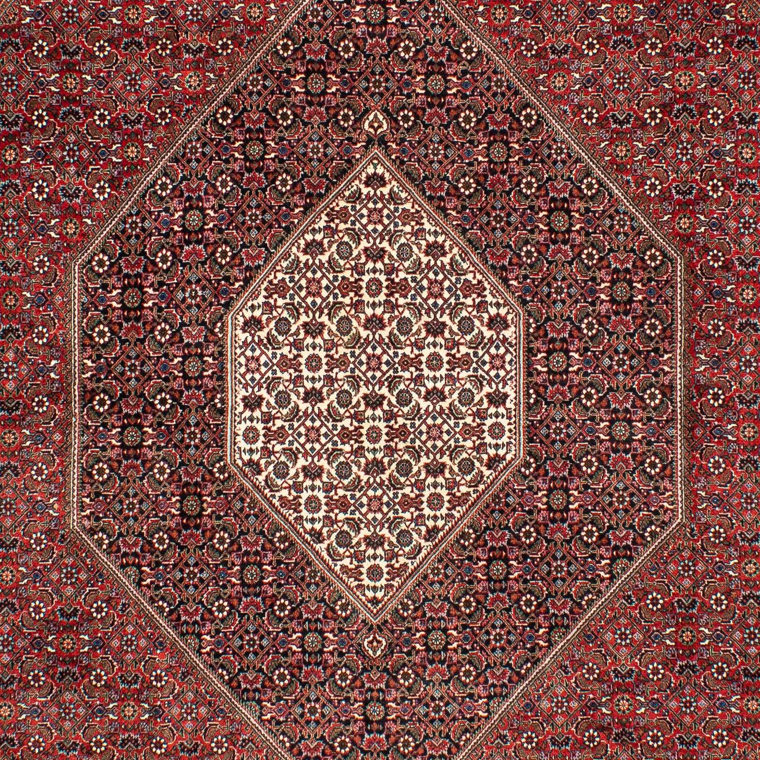 Perzisch tapijt - Bijar - 309 x 208 cm - donkerrood