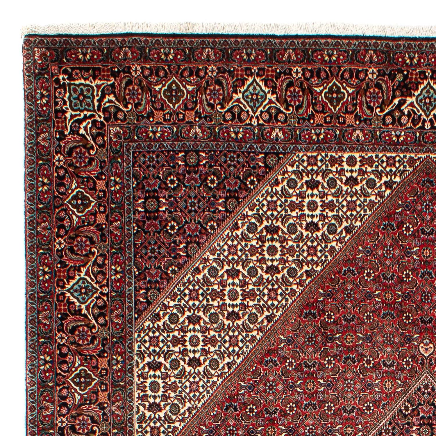 Tappeto Persero - Bidjar - 309 x 208 cm - rosso scuro