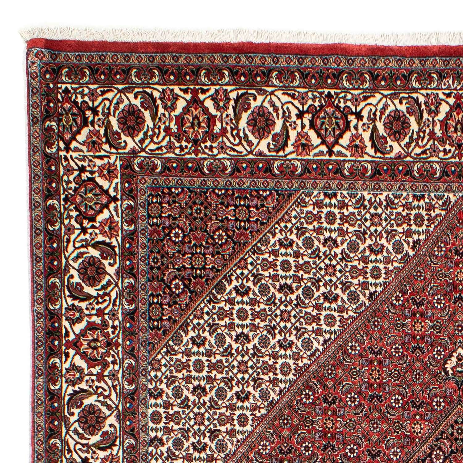 Persisk tæppe - Bijar - 294 x 204 cm - lysrød