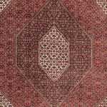 Alfombra persa - Bidjar - 294 x 204 cm - rojo claro
