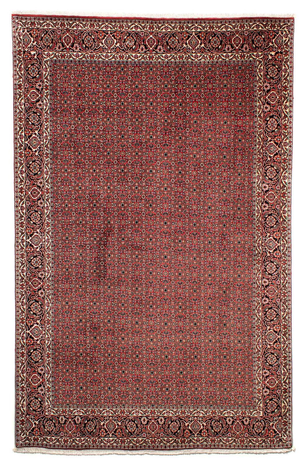 Tapis persan - Bidjar - 297 x 200 cm - rouge foncé