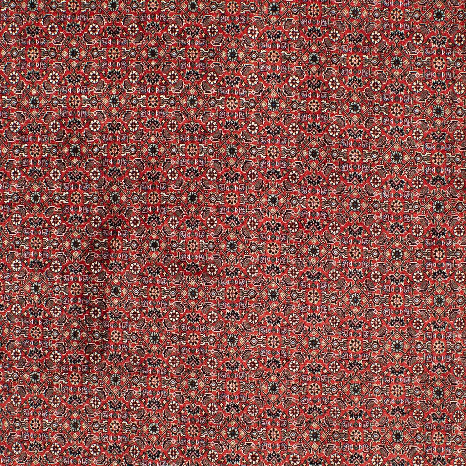 Tapis persan - Bidjar - 297 x 200 cm - rouge foncé