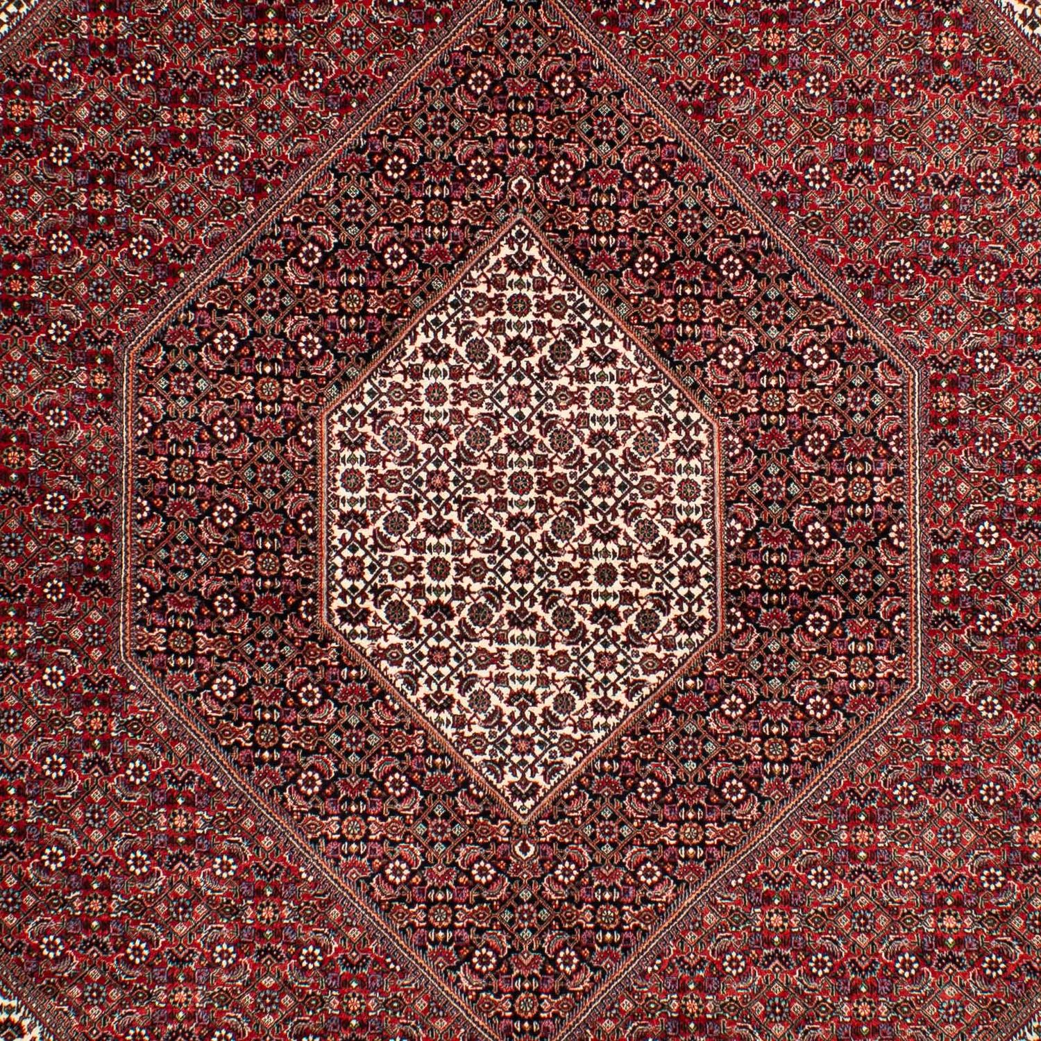 Alfombra persa - Bidjar - 304 x 204 cm - rojo oscuro