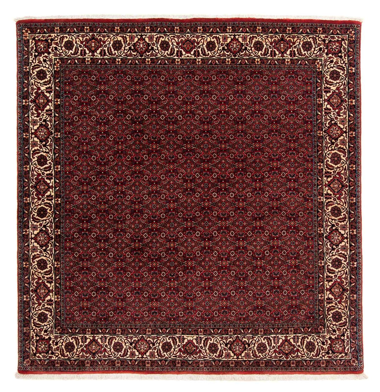 Alfombra persa - Bidjar cuadrado  - 212 x 205 cm - rojo oscuro