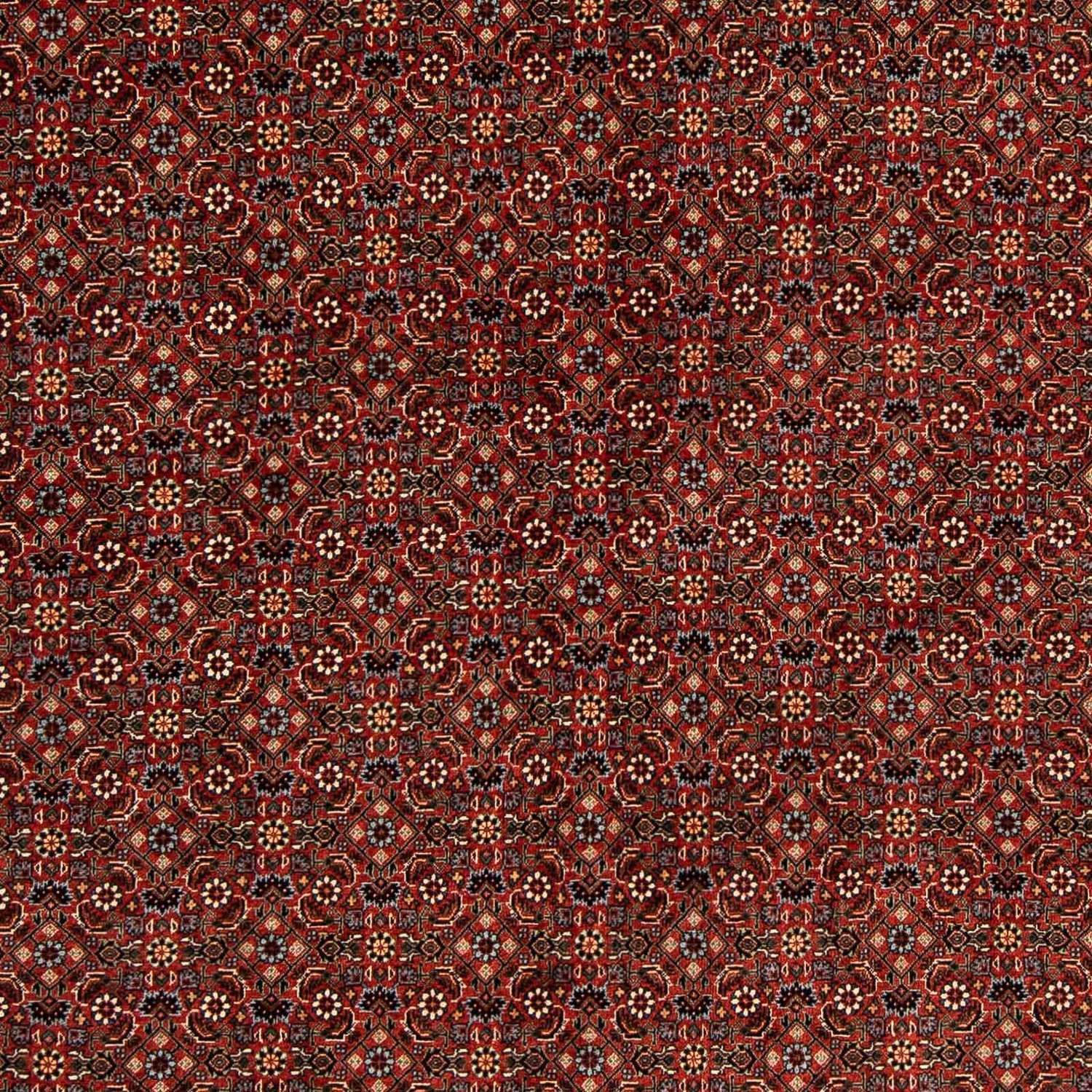 Persisk tæppe - Bijar firkantet  - 203 x 197 cm - mørkerød