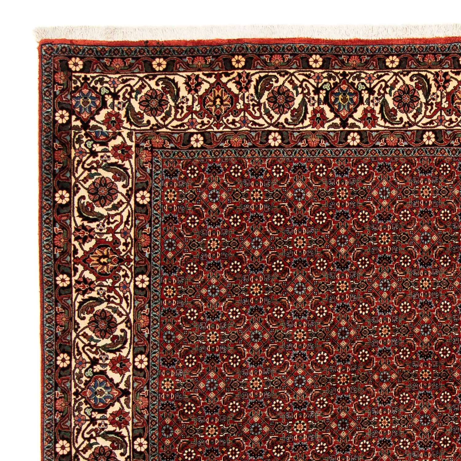 Tapete Persa - Bijar praça  - 203 x 197 cm - vermelho escuro