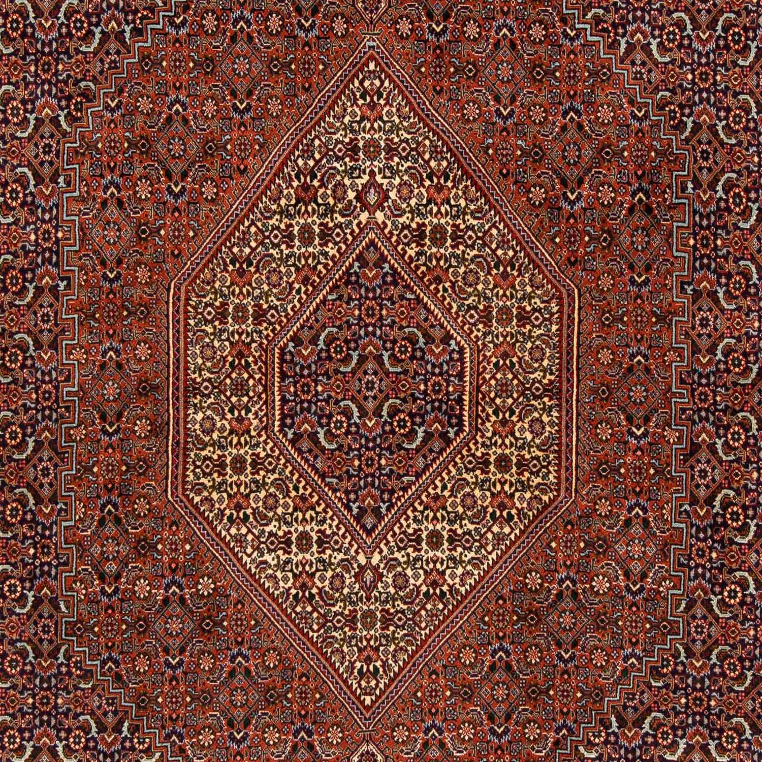 Persisk teppe - Bijar - 222 x 203 cm - brun