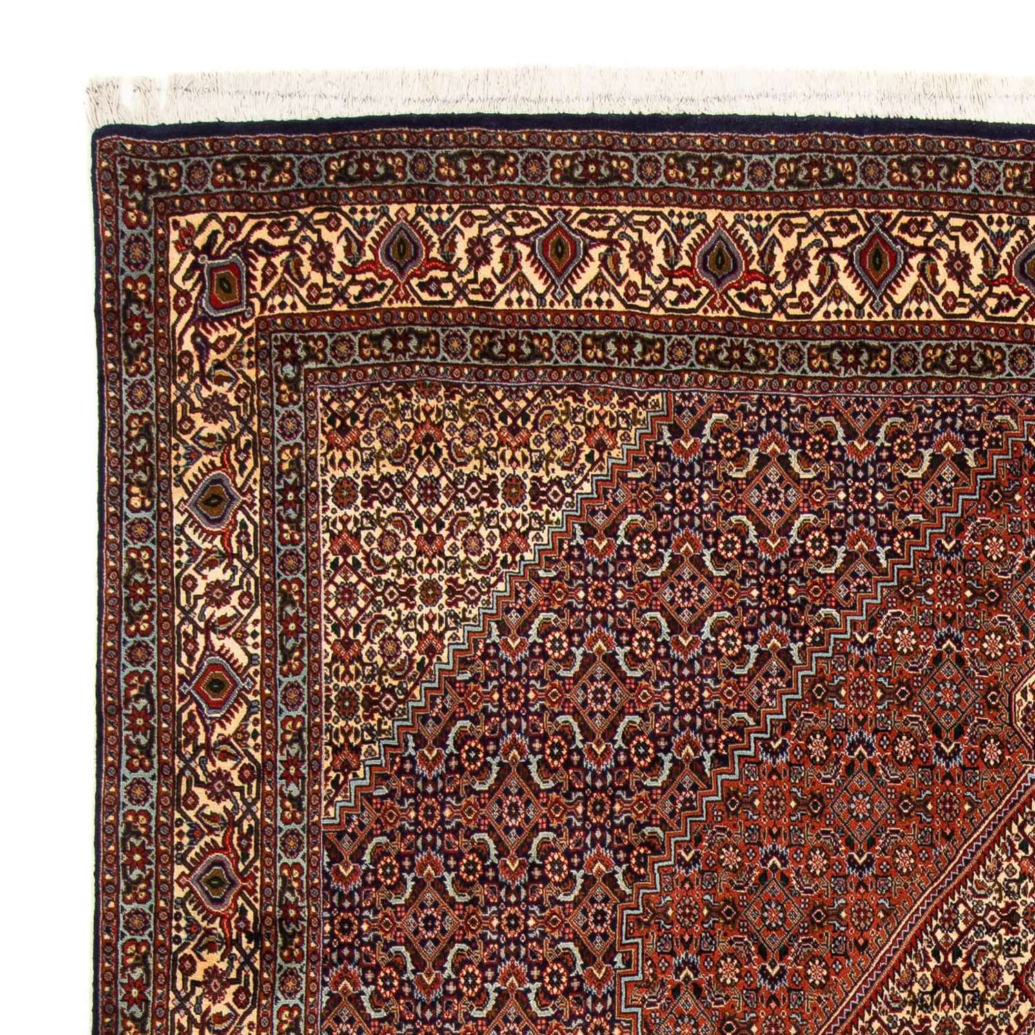 Tapis persan - Bidjar - 222 x 203 cm - marron