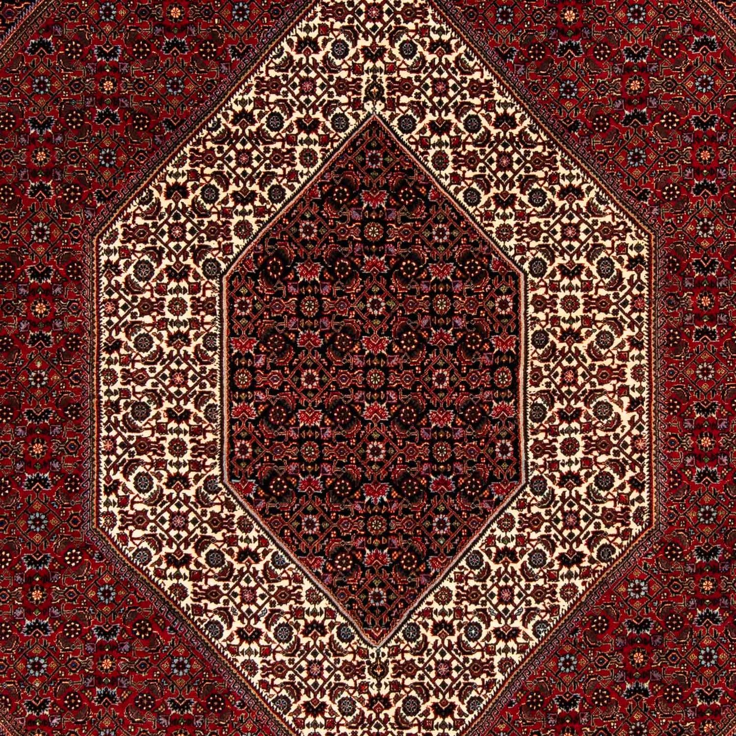 Alfombra persa - Bidjar - 253 x 200 cm - rojo oscuro