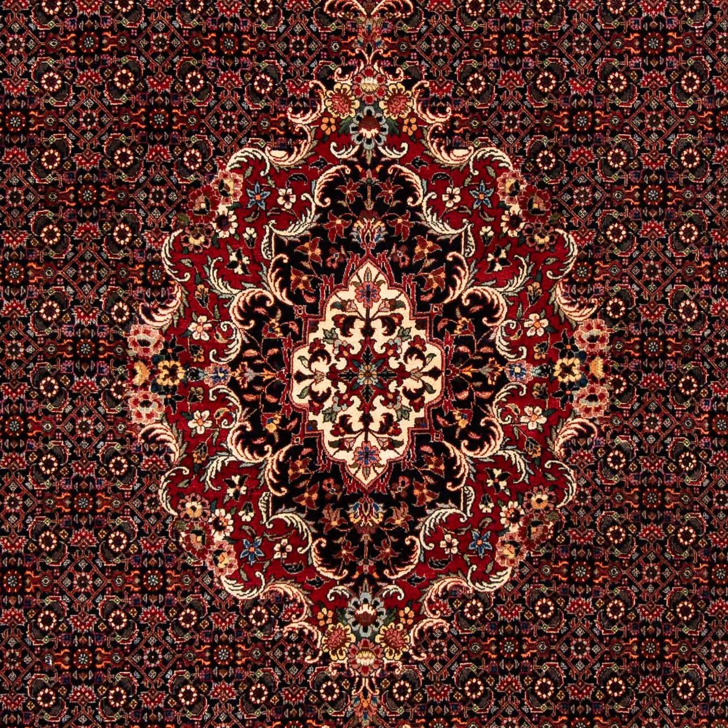 Alfombra persa - Bidjar - 252 x 200 cm - rojo oscuro