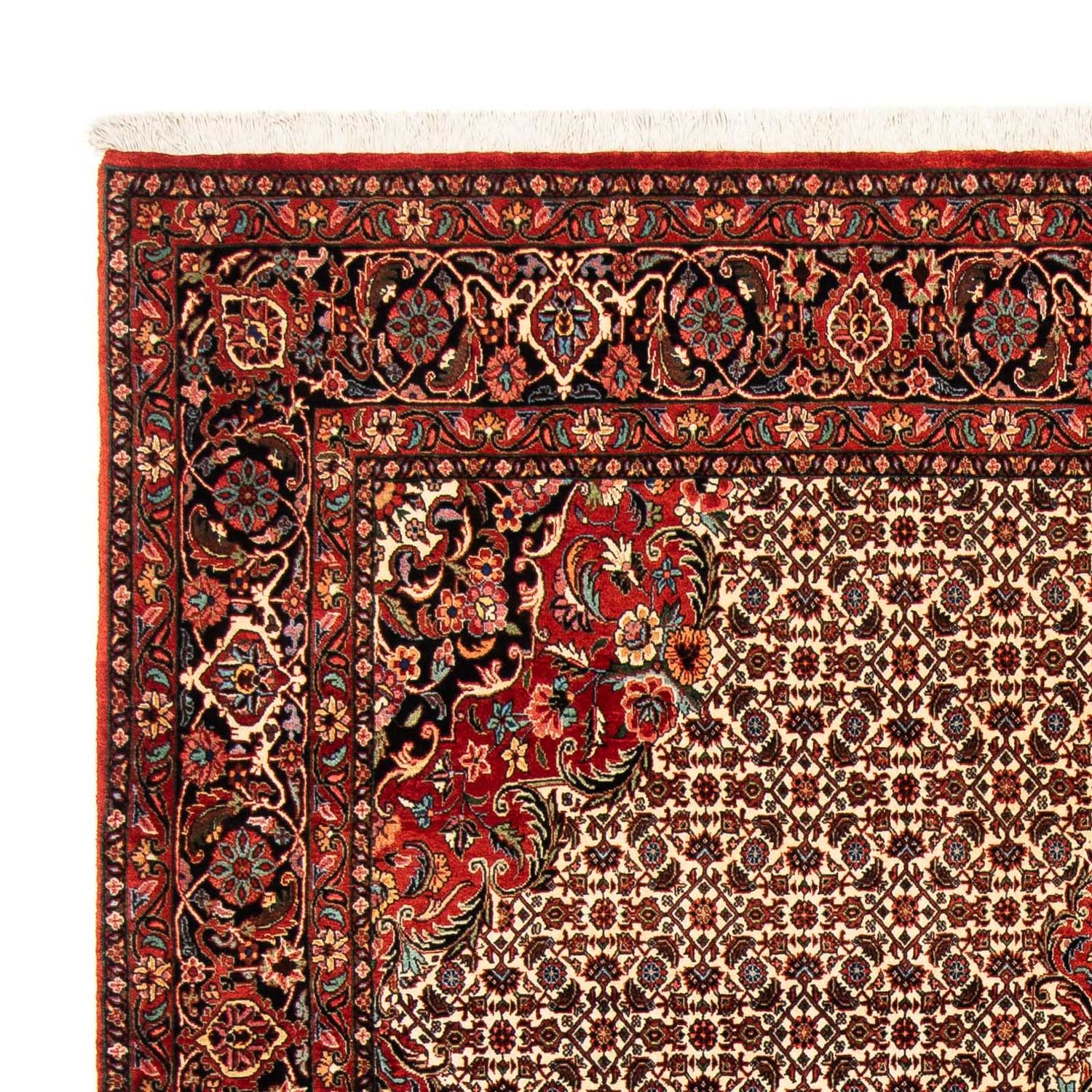 Tapis persan - Bidjar - 258 x 200 cm - rouge foncé