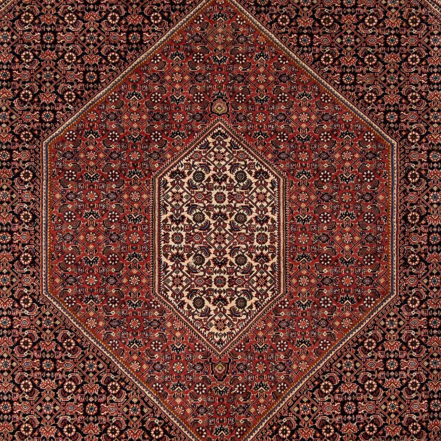 Tappeto Persero - Bidjar - 272 x 198 cm - marrone