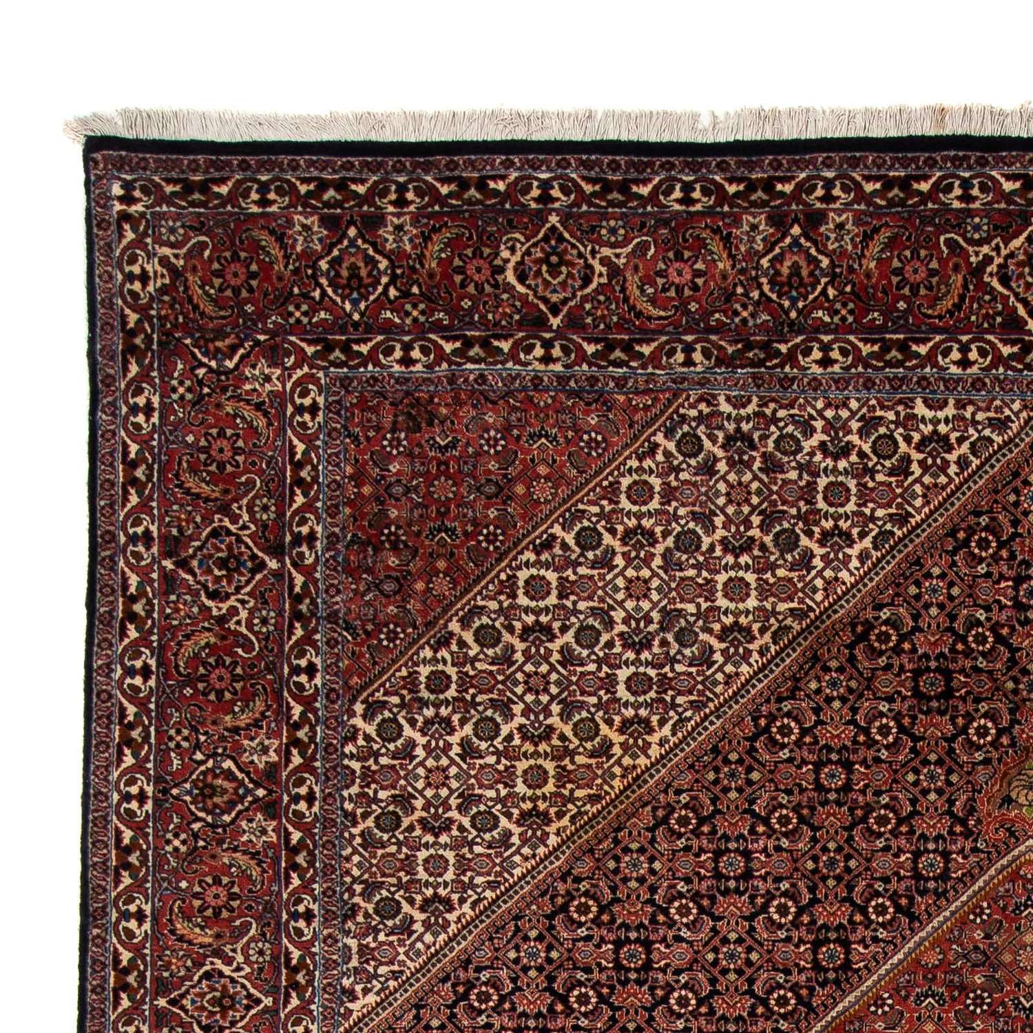 Persisk teppe - Bijar - 272 x 198 cm - brun