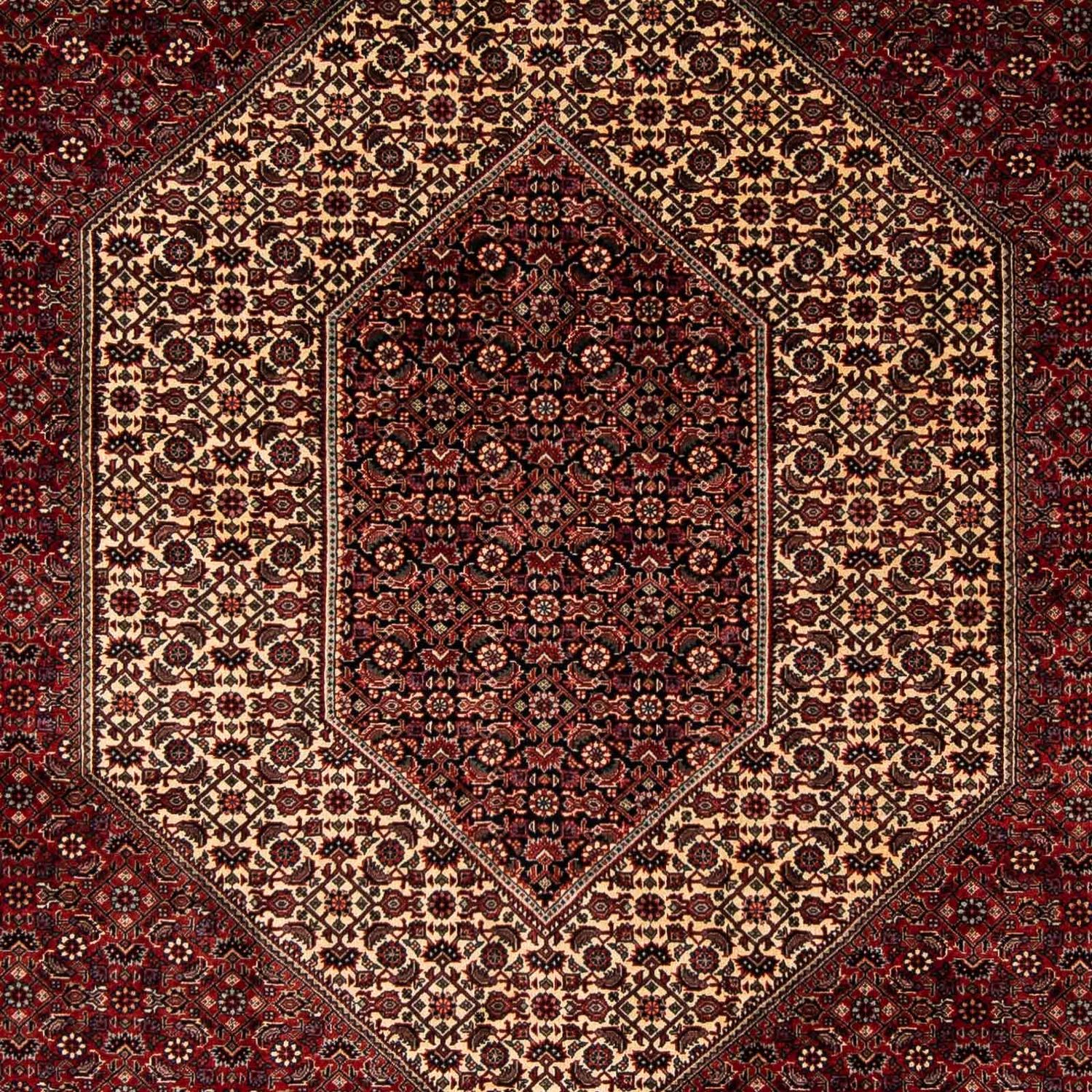 Alfombra persa - Bidjar - 238 x 196 cm - rojo oscuro