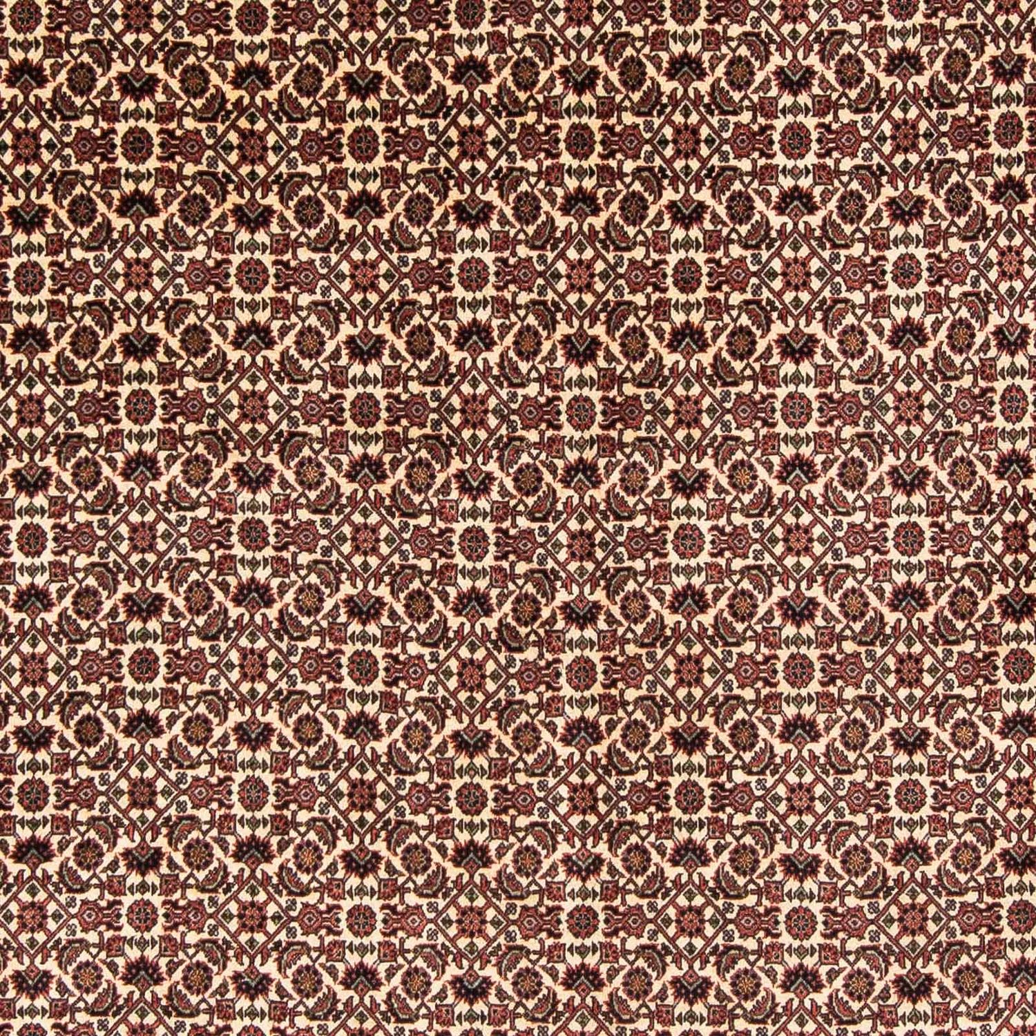 Tapete Persa - Bijar - 240 x 173 cm - vermelho escuro