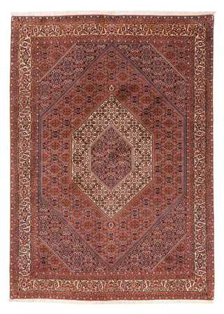 Tapis persan - Bidjar - 230 x 166 cm - marron