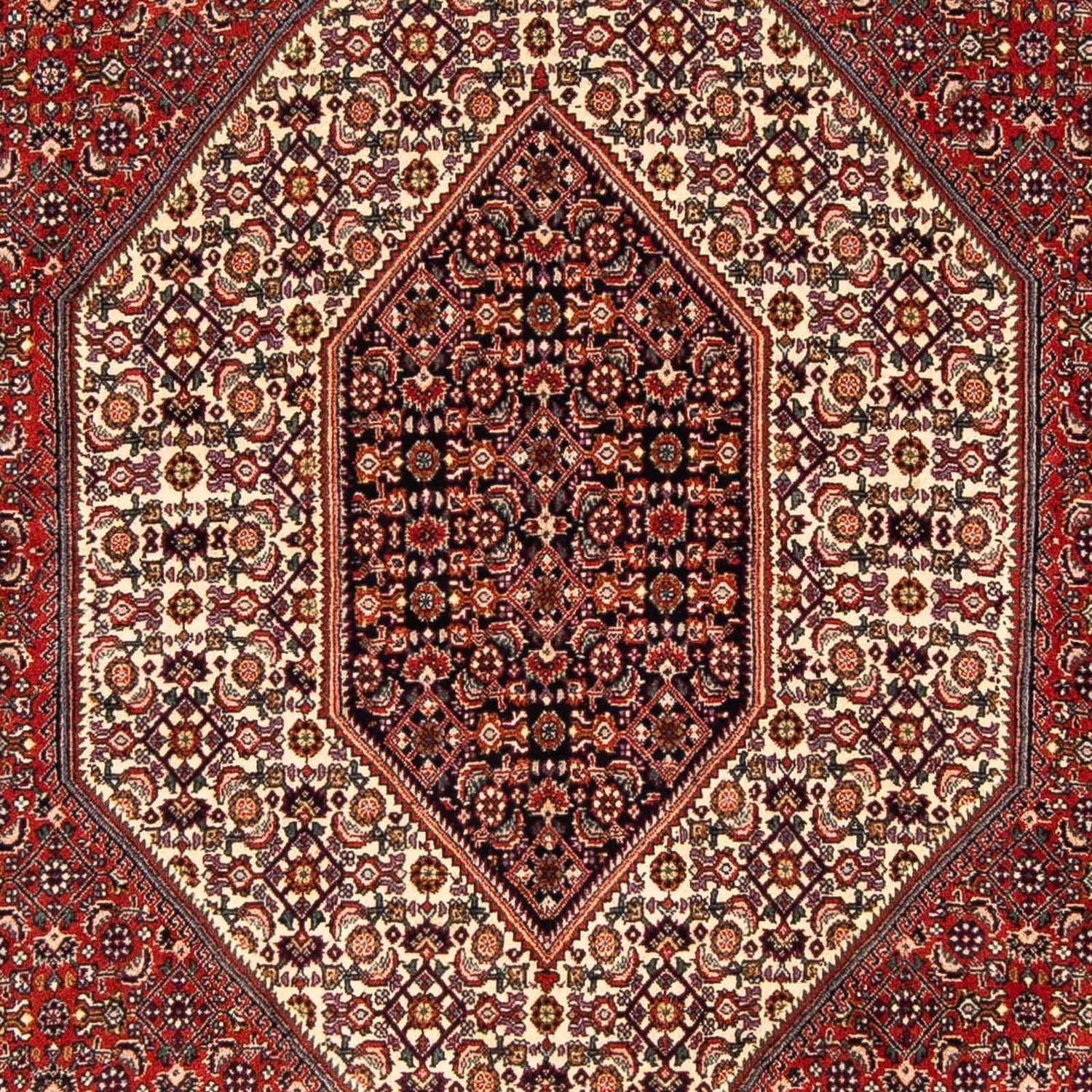 Tapete Persa - Bijar - 244 x 153 cm - vermelho escuro