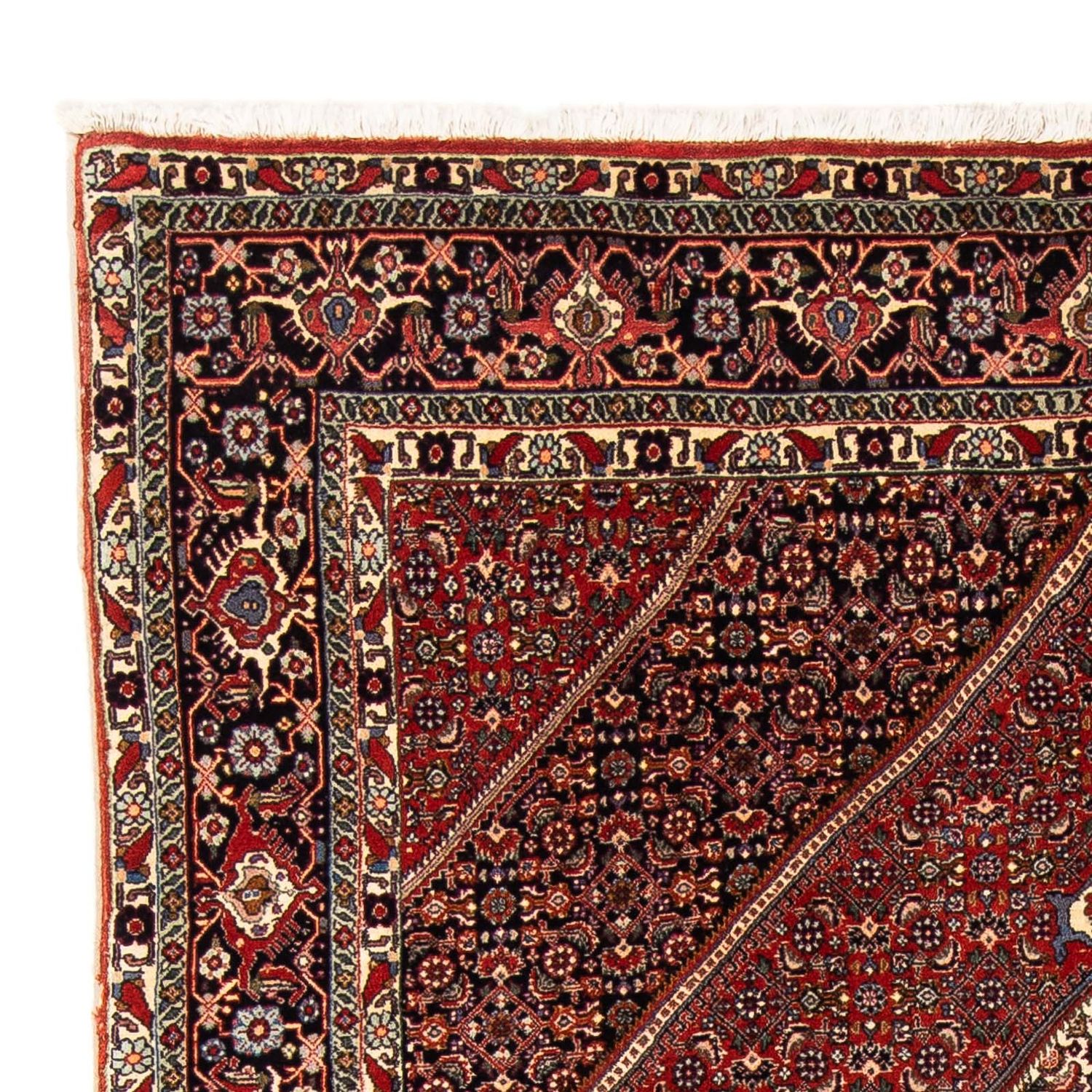 Tapis persan - Bidjar - 244 x 153 cm - rouge foncé