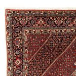 Perser Rug - Bidjar - 244 x 153 cm - dark red