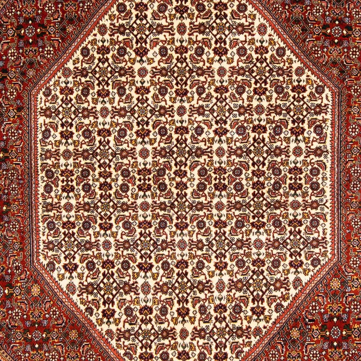 Alfombra persa - Bidjar - 231 x 163 cm - multicolor