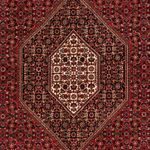 Alfombra persa - Bidjar - 261 x 164 cm - rojo oscuro