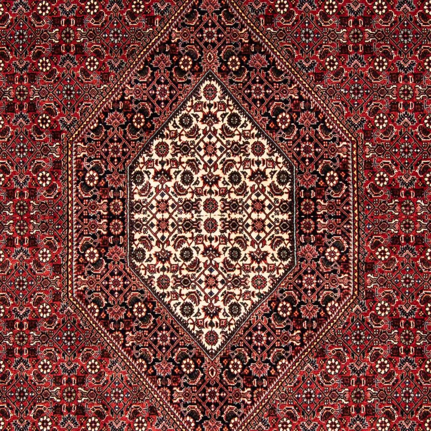 Dywan perski - Bijar - 240 x 166 cm - ciemna czerwień