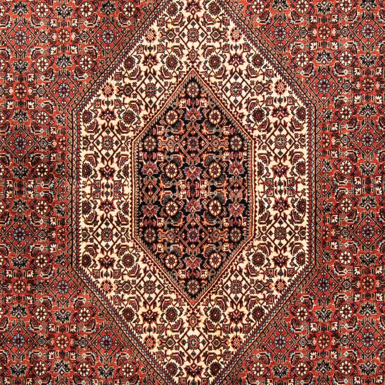 Perský koberec - Bijar - 252 x 150 cm - červená