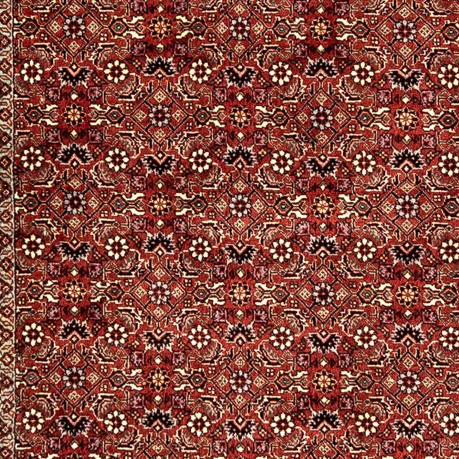 Løber Persisk tæppe - Bijar - 296 x 81 cm - mørkerød