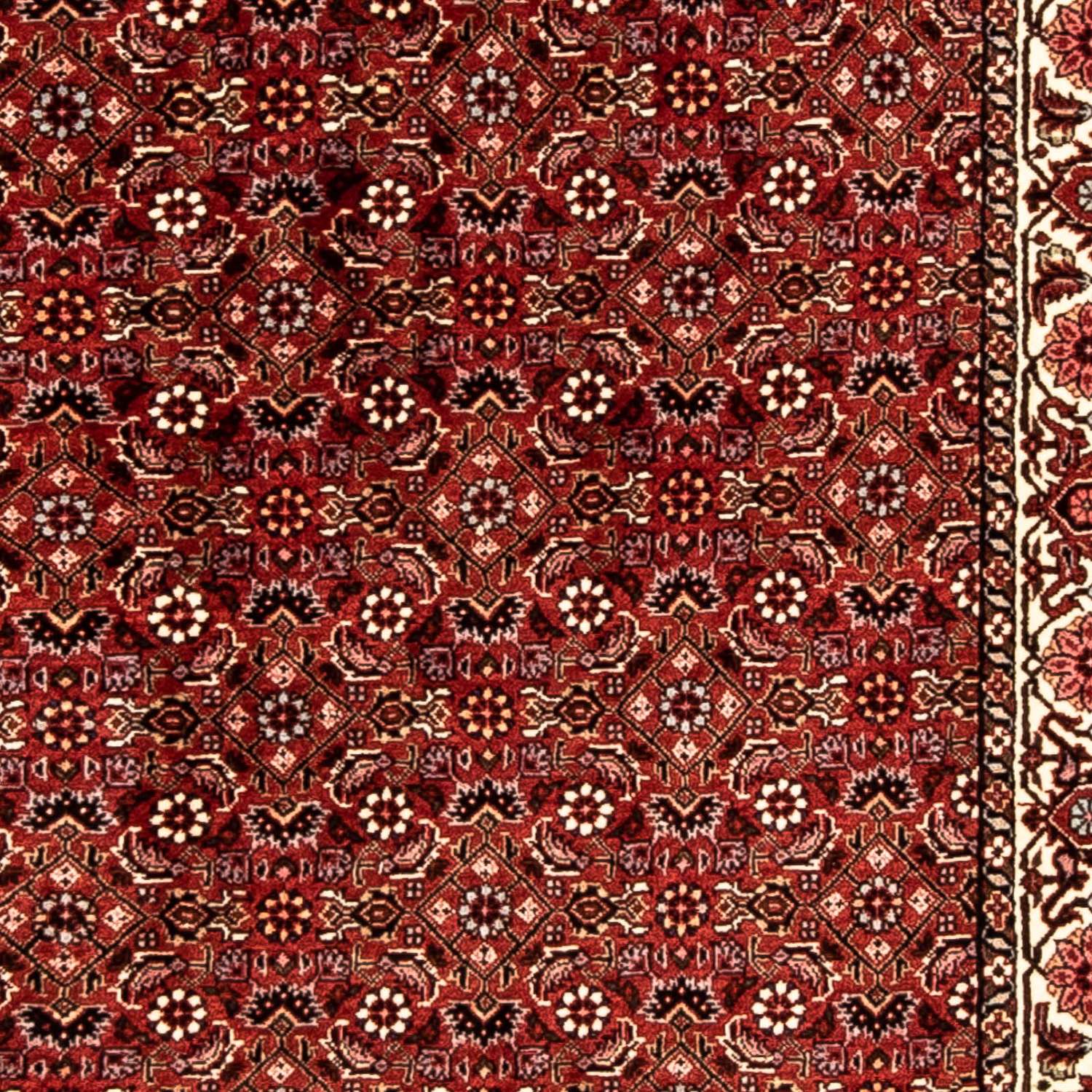 Corredor Tapete Persa - Bijar - 296 x 82 cm - vermelho escuro