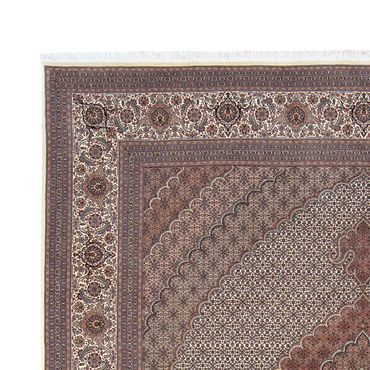 Tapis persan - Tabriz - 300 x 250 cm - multicolore