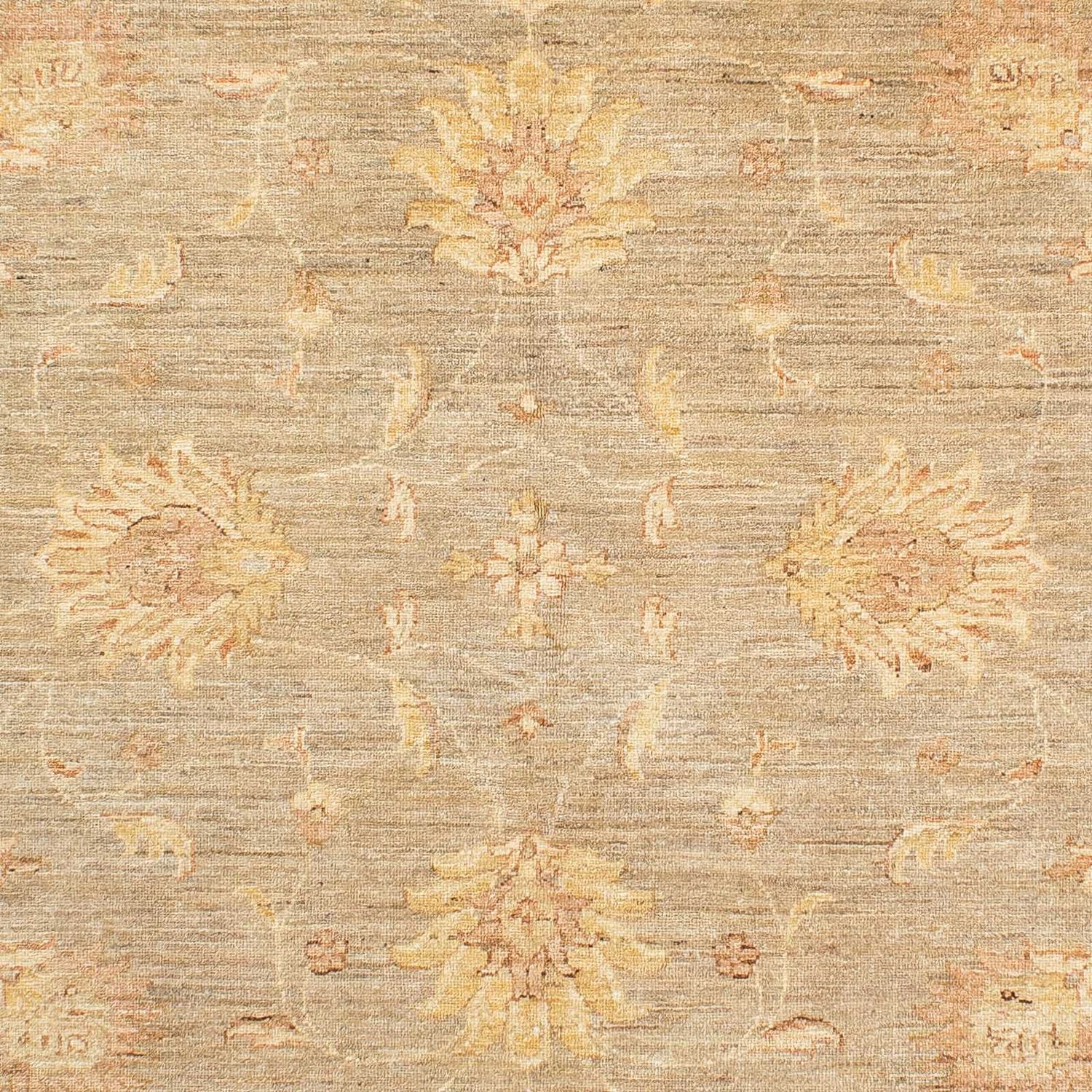 Ziegler Teppe - 241 x 175 cm - beige