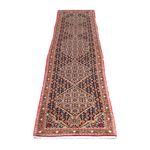 Tapis de couloir Tapis persan - Classique - 252 x 51 cm - multicolore