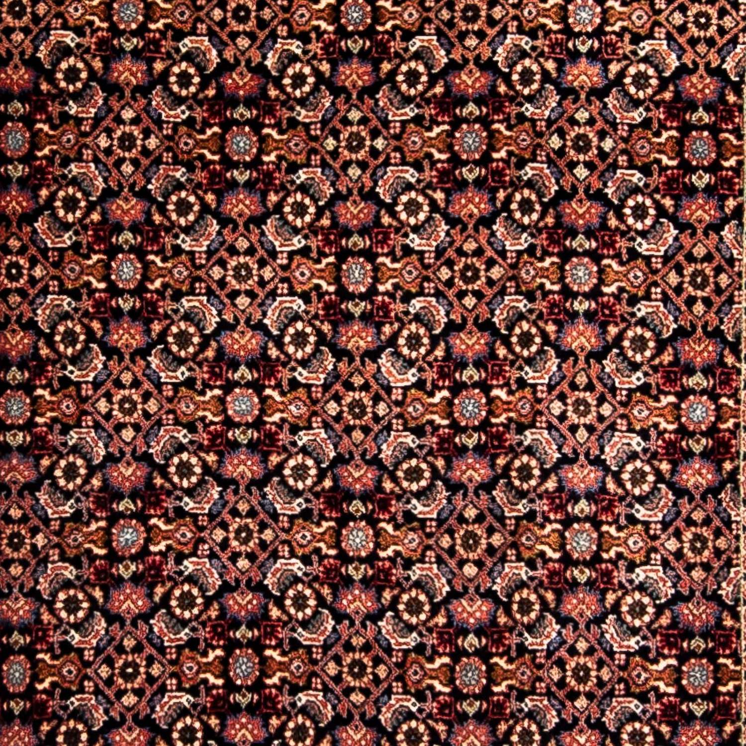 Alfombra de pasillo Alfombra persa - Bidjar - 296 x 94 cm - marrón