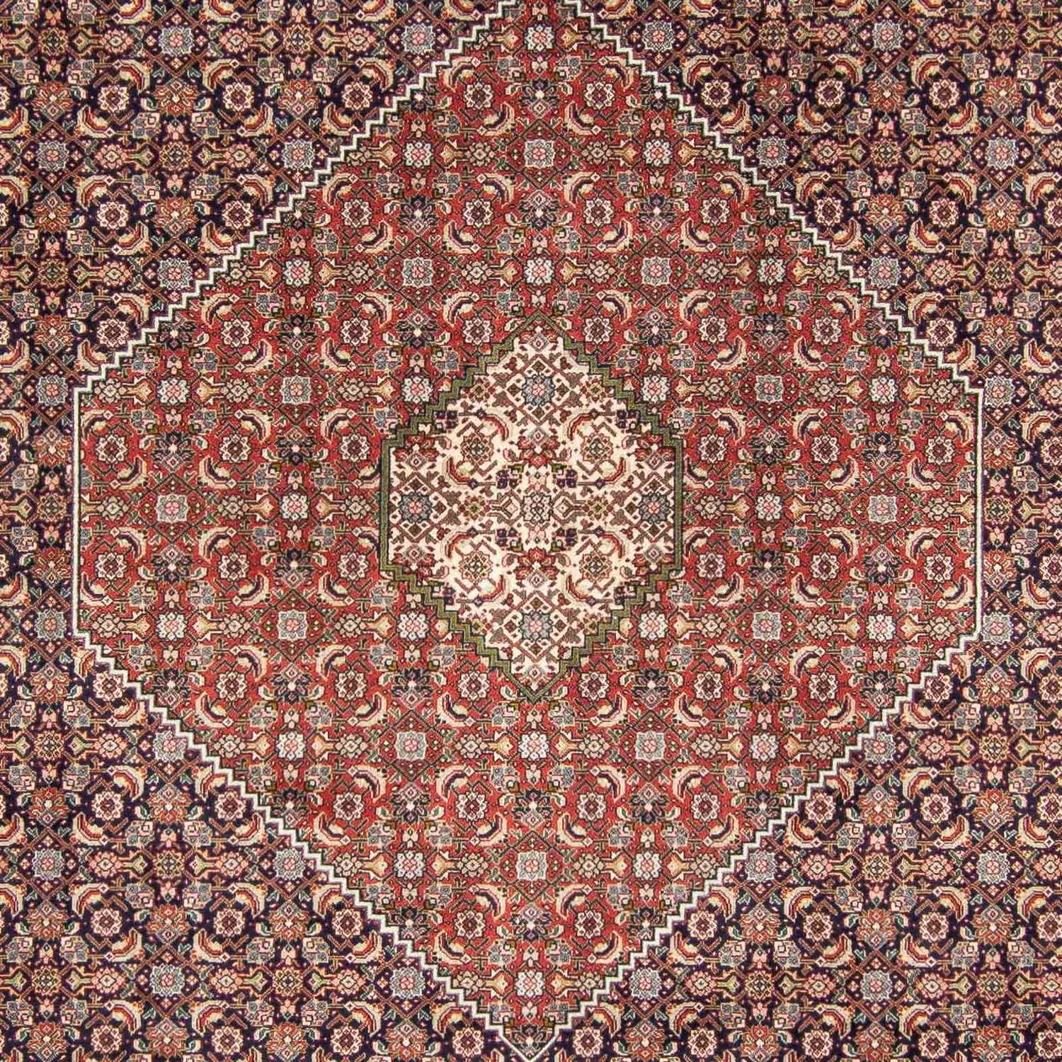 Dywan perski - Tabriz - 343 x 246 cm - wielokolorowy
