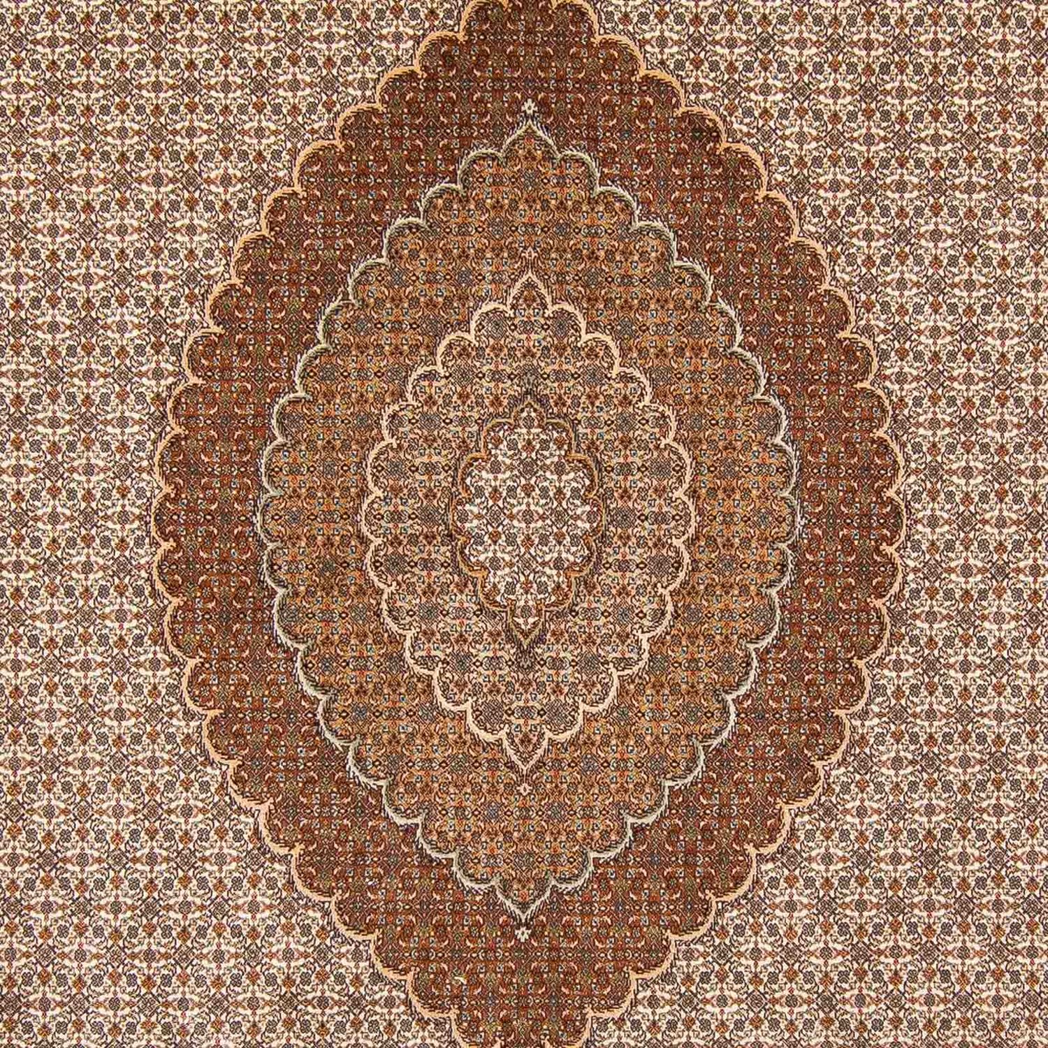 Tappeto Persero - Tabriz - 363 x 250 cm - marrone chiaro