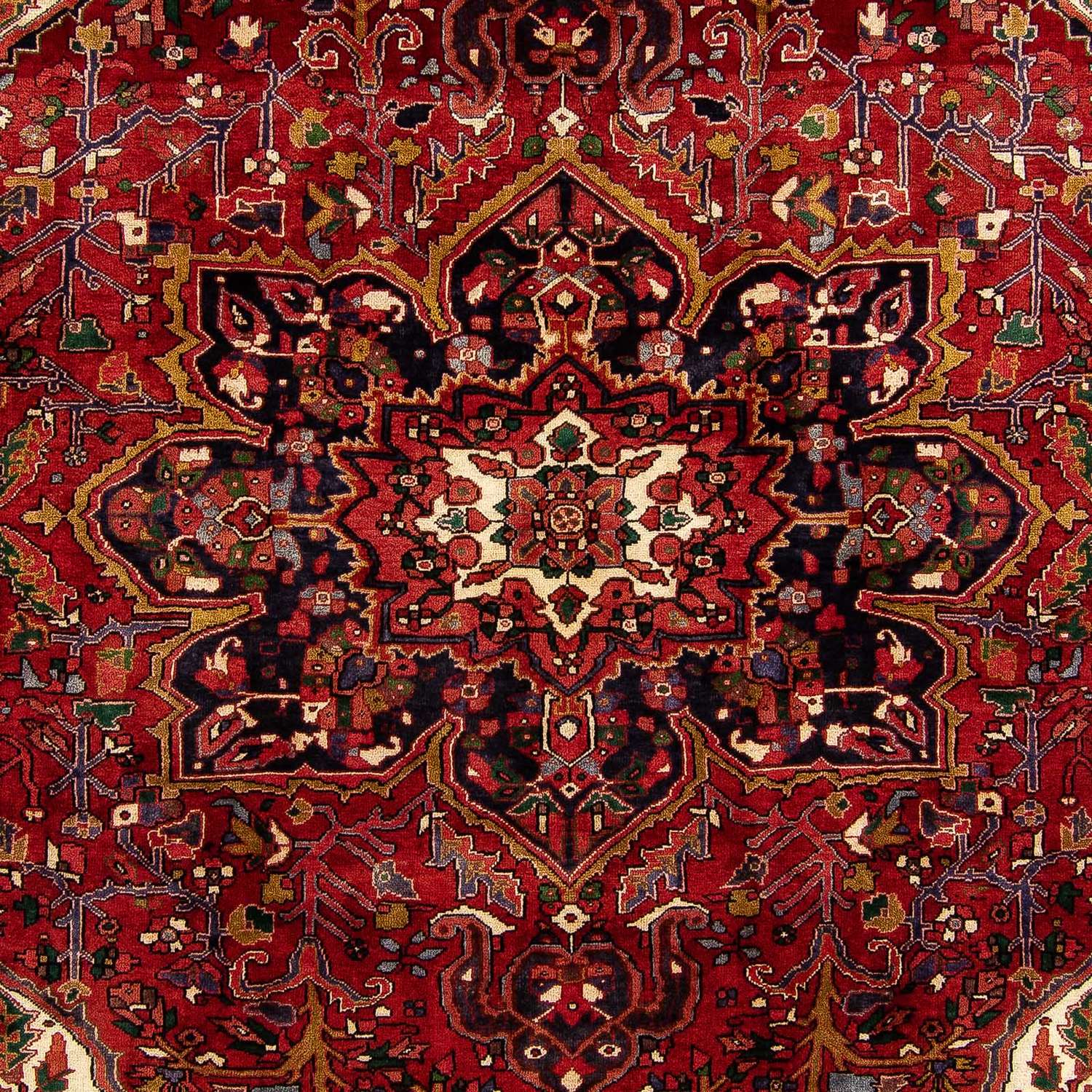 Perski dywan - Nomadyczny - 362 x 277 cm - ciemna czerwień