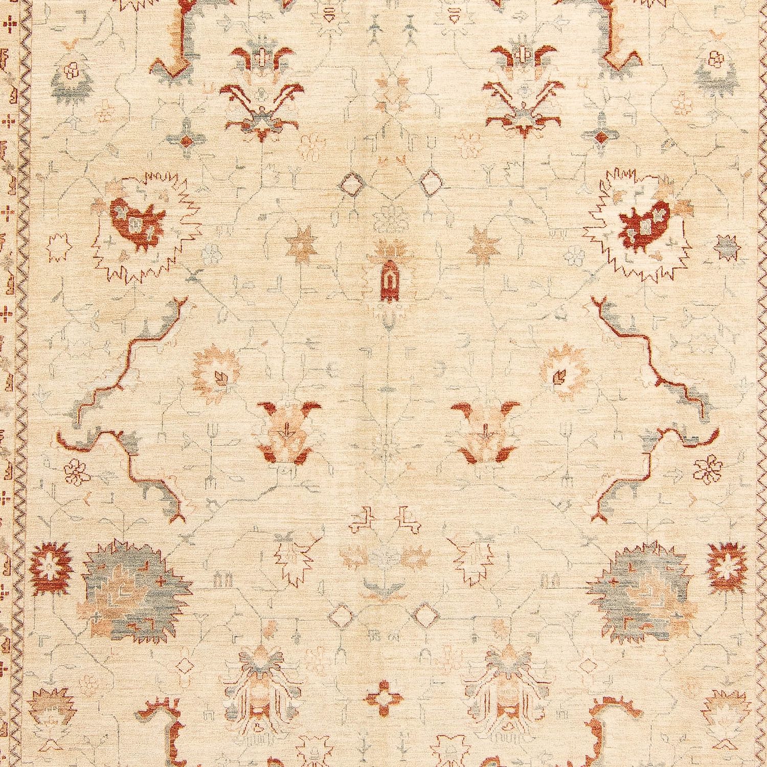 Ziegler Rug - 403 x 293 cm - beige